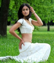 ileana new hot in devudu chesina manusulu photos stills gallery